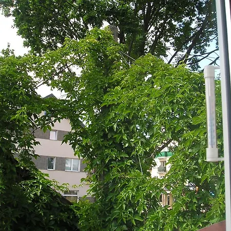 Pokoje Centrum U Ani Augustow Exterior photo